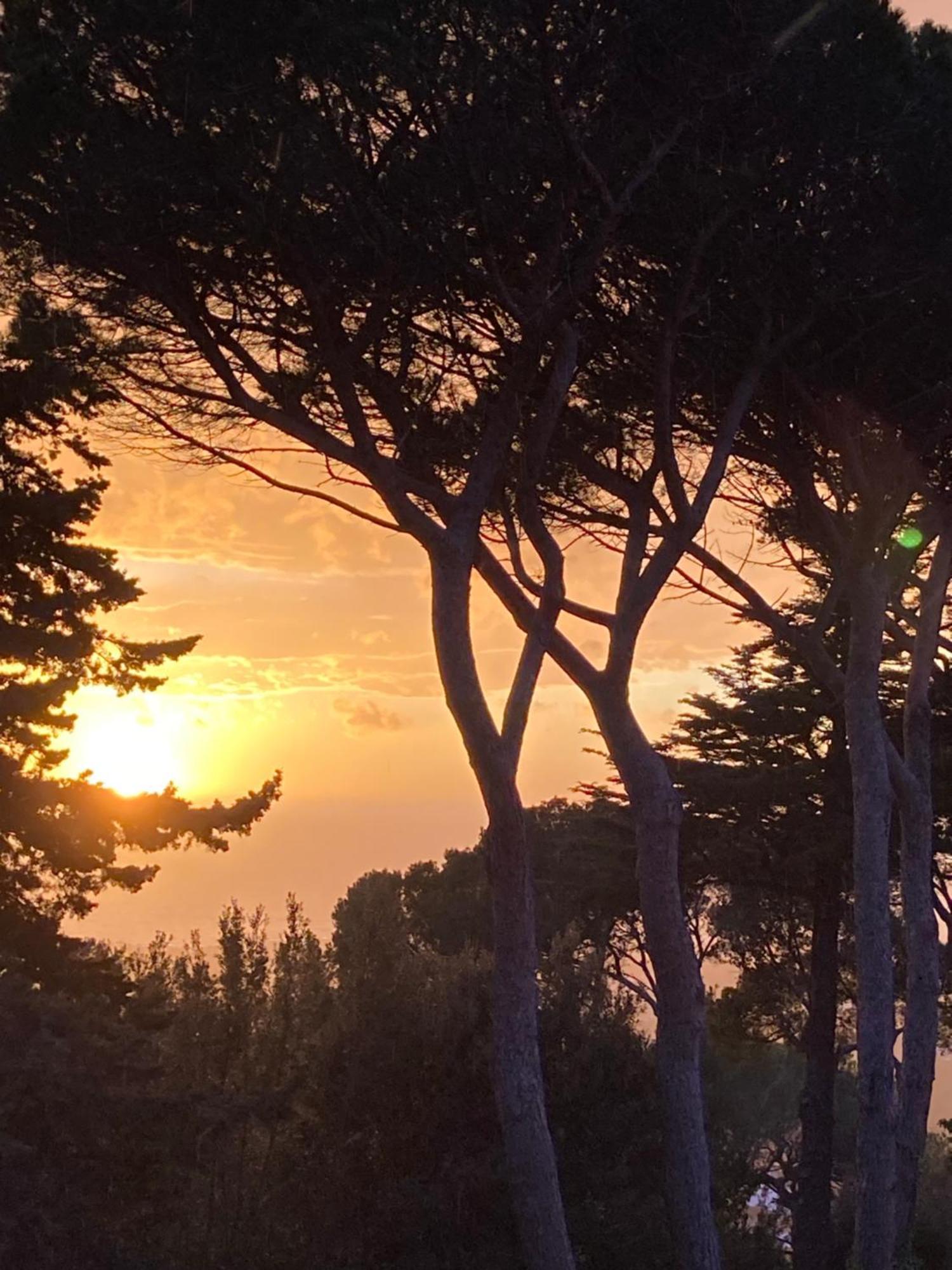 Appartamento Montenero Vista Mare Livorno Eksteriør billede